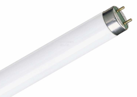 Tub fluorescent Philips, 36W
